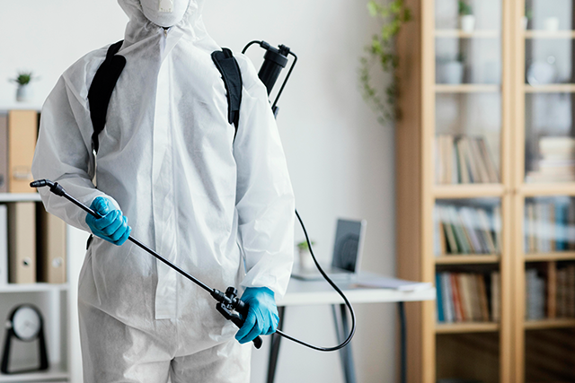 ongediertebestrijding-thuis ongediertebestrijding